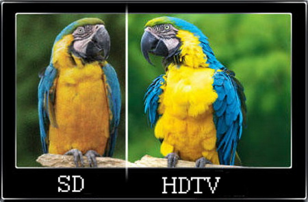    HD + DV